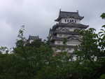 Sakury pod hradom Himedži