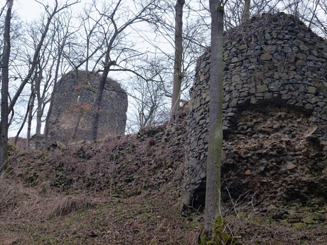 zrúcanina hradu Týřov
