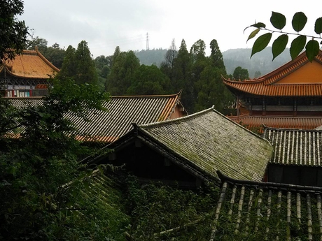 Bambusový chrám