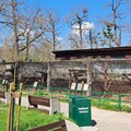Zoo Hodonín