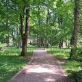 Pezinok - zámocký park